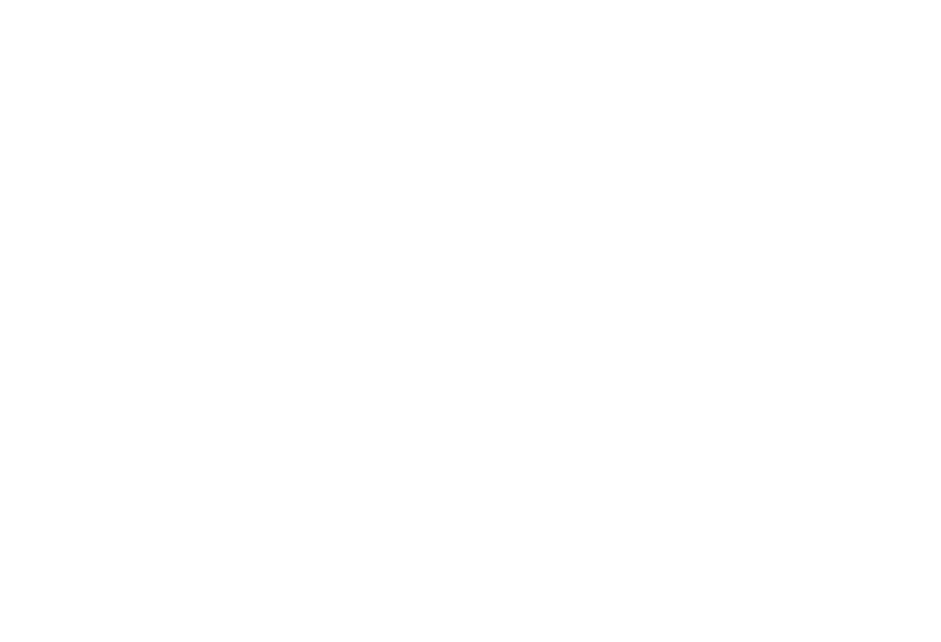 Dudeck Digital